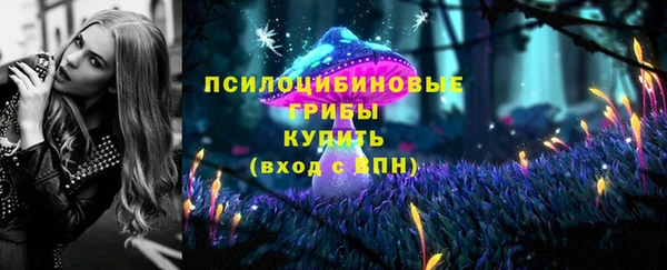 ALPHA-PVP Верхний Тагил